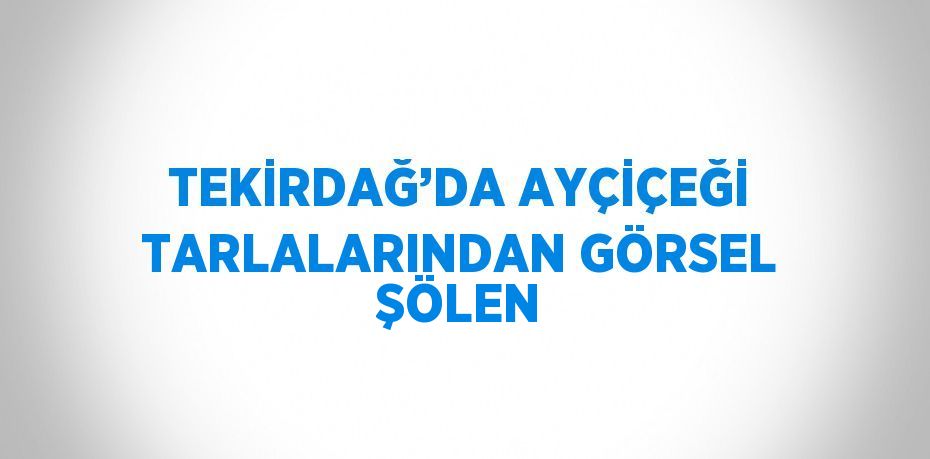 TEKİRDAĞ’DA AYÇİÇEĞİ TARLALARINDAN GÖRSEL ŞÖLEN