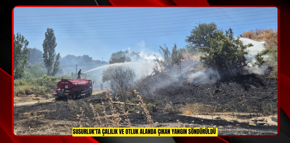 Susurluk'ta çalılık ve otluk alanda çıkan yangın söndürüldü  