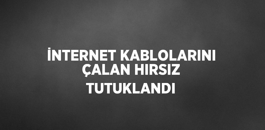 İNTERNET KABLOLARINI ÇALAN HIRSIZ TUTUKLANDI