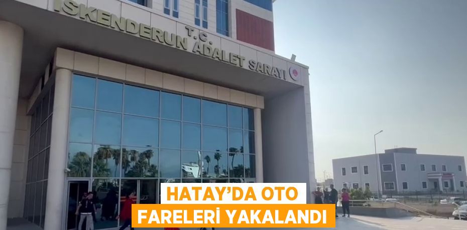 HATAY’DA OTO FARELERİ YAKALANDI