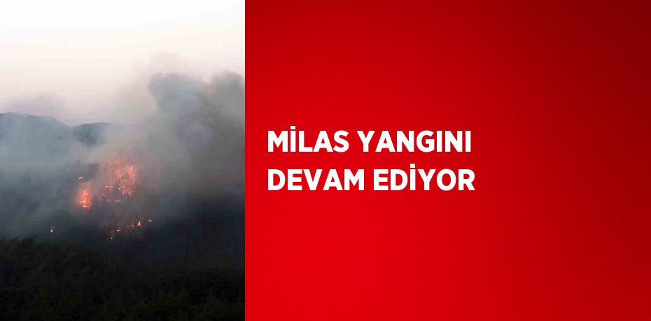 MİLAS YANGINI DEVAM EDİYOR