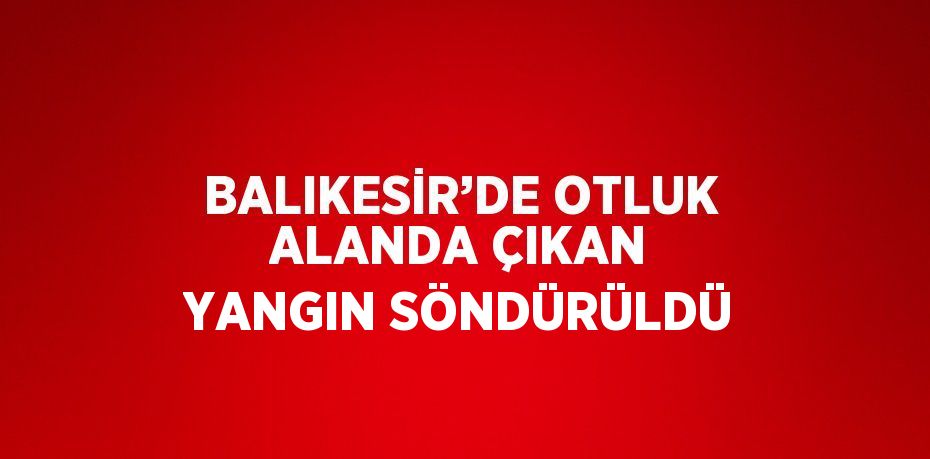 BALIKESİR’DE OTLUK ALANDA ÇIKAN YANGIN SÖNDÜRÜLDÜ