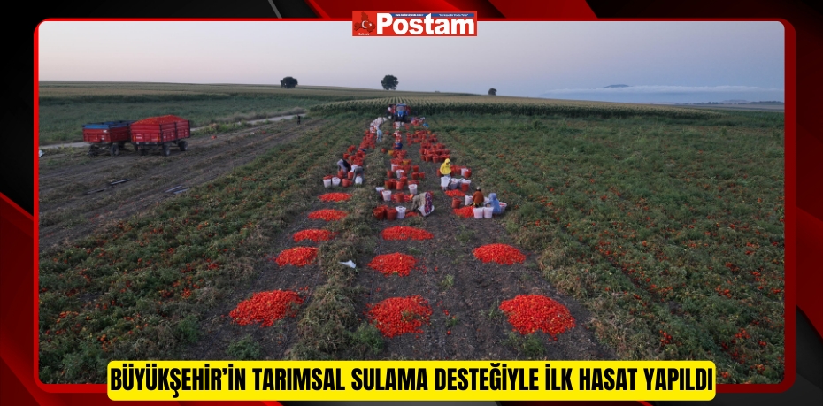 Büyükşehir’in tarımsal sulama desteğiyle ilk hasat yapıldı