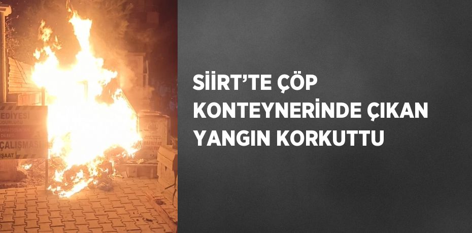 SİİRT’TE ÇÖP KONTEYNERİNDE ÇIKAN YANGIN KORKUTTU