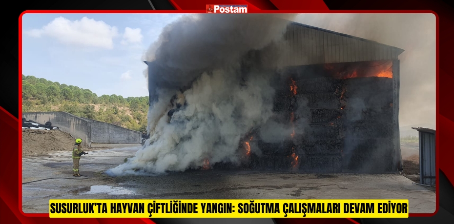 SUSURLUK’TA HAYVAN ÇİFTLİĞİNDE YANGIN: SOĞUTMA ÇALIŞMALARI DEVAM EDİYOR