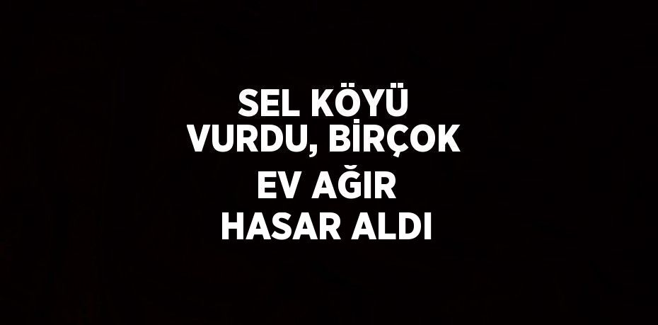 SEL KÖYÜ VURDU, BİRÇOK EV AĞIR HASAR ALDI