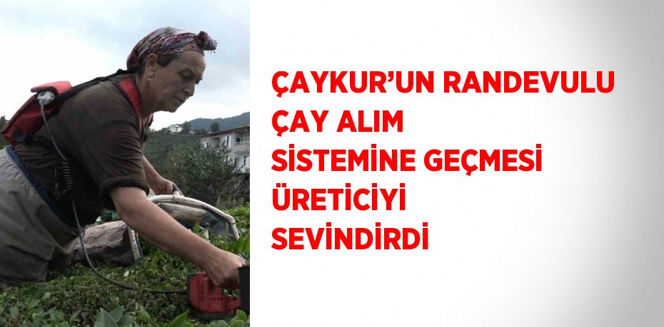 ÇAYKUR’UN RANDEVULU ÇAY ALIM SİSTEMİNE GEÇMESİ ÜRETİCİYİ SEVİNDİRDİ