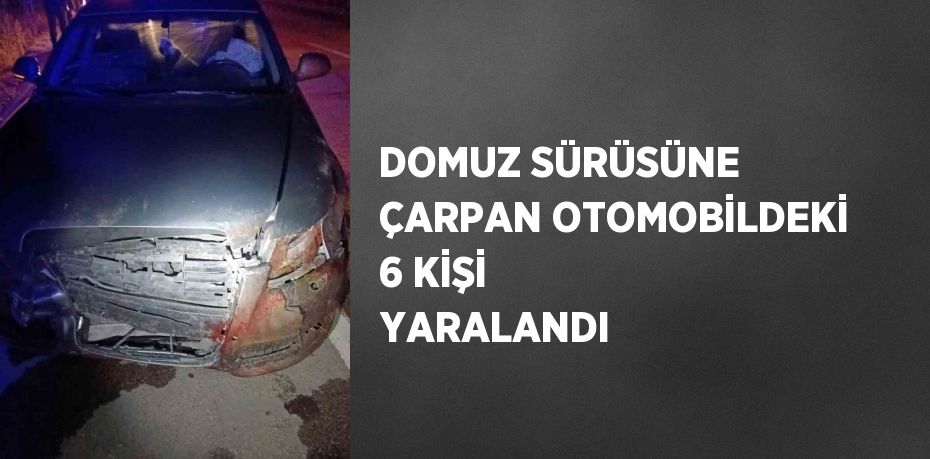 DOMUZ SÜRÜSÜNE ÇARPAN OTOMOBİLDEKİ 6 KİŞİ YARALANDI