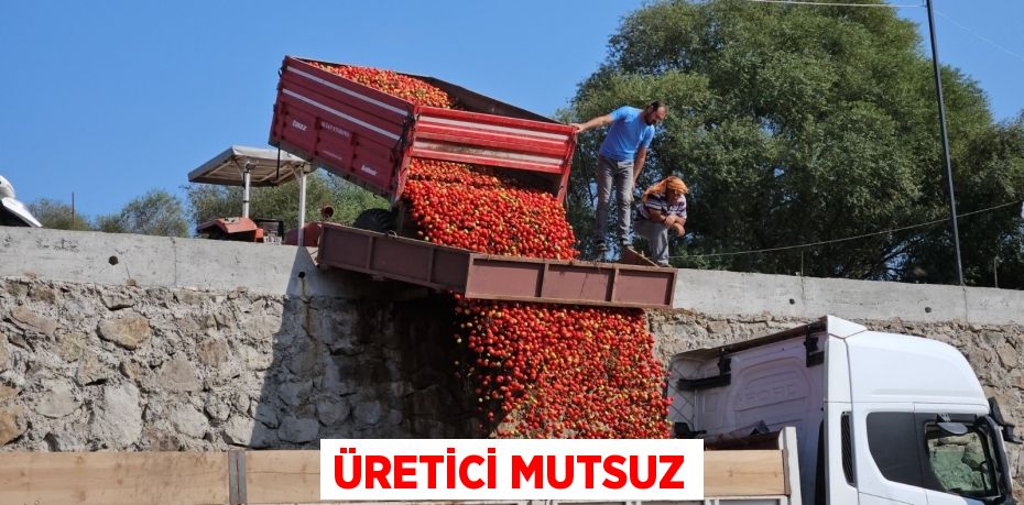 Üretici mutsuz