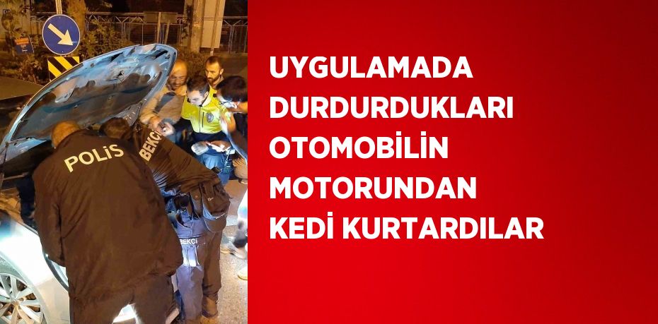 UYGULAMADA DURDURDUKLARI OTOMOBİLİN MOTORUNDAN KEDİ KURTARDILAR