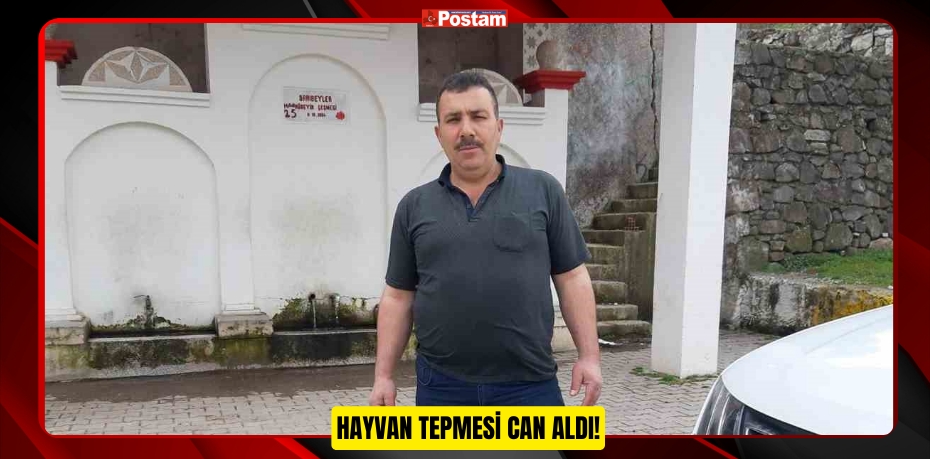 HAYVAN TEPMESİ CAN ALDI!