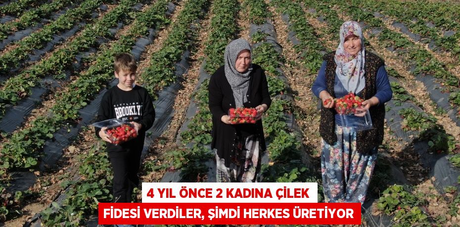 4 yıl önce 2 kadına çilek fidesi verdiler, şimdi herkes üretiyor