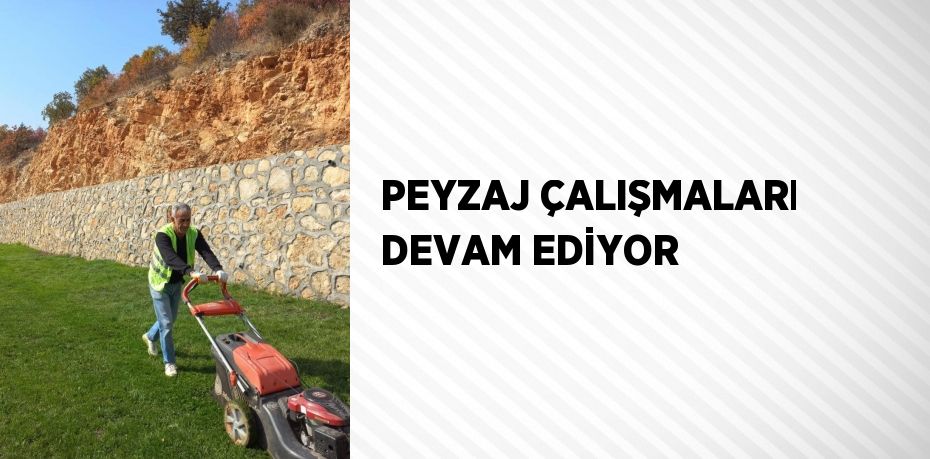 PEYZAJ ÇALIŞMALARI DEVAM EDİYOR