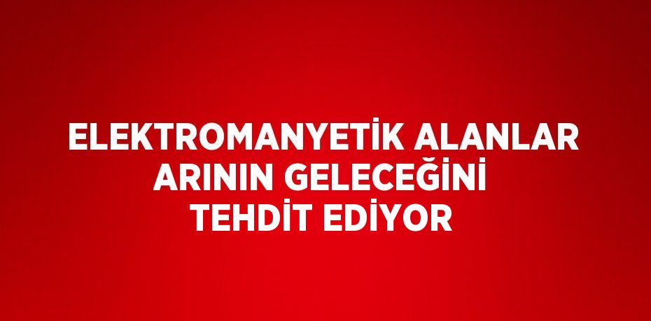 ELEKTROMANYETİK ALANLAR ARININ GELECEĞİNİ TEHDİT EDİYOR