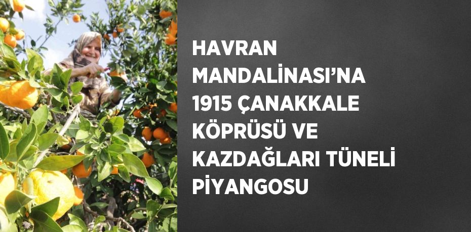 HAVRAN MANDALİNASI’NA 1915 ÇANAKKALE KÖPRÜSÜ VE KAZDAĞLARI TÜNELİ PİYANGOSU