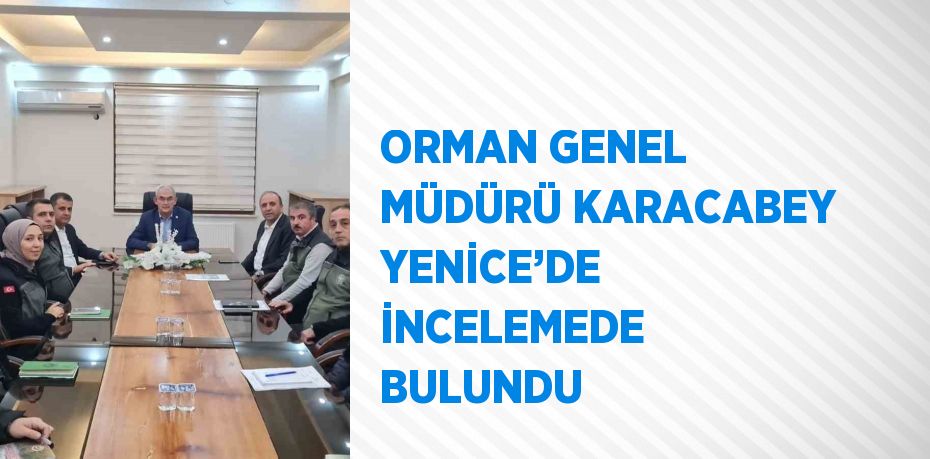 ORMAN GENEL MÜDÜRÜ KARACABEY YENİCE’DE İNCELEMEDE BULUNDU