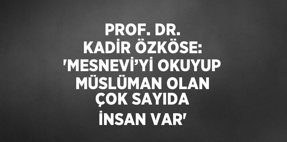 PROF. DR. KADİR ÖZKÖSE: 'MESNEVİ’Yİ OKUYUP MÜSLÜMAN OLAN ÇOK SAYIDA İNSAN VAR'