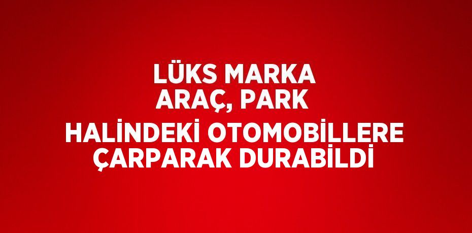 LÜKS MARKA ARAÇ, PARK HALİNDEKİ OTOMOBİLLERE ÇARPARAK DURABİLDİ