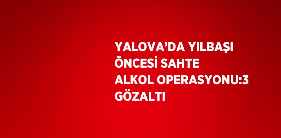 YALOVA’DA YILBAŞI ÖNCESİ SAHTE ALKOL OPERASYONU:3 GÖZALTI