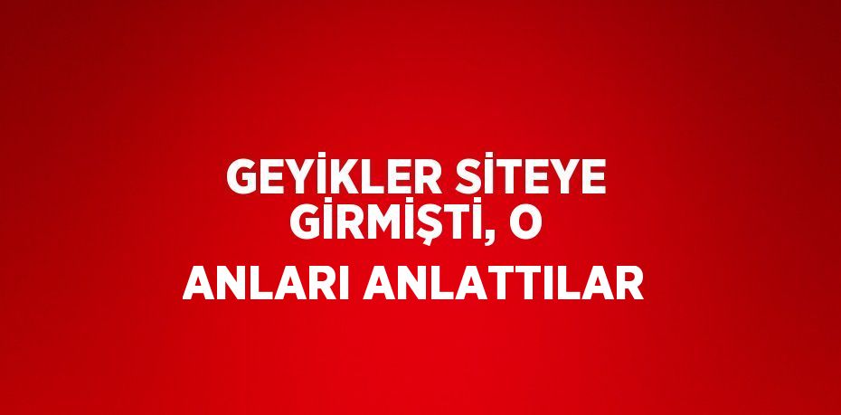 GEYİKLER SİTEYE GİRMİŞTİ, O ANLARI ANLATTILAR