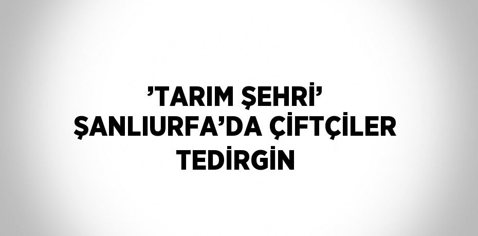 ’TARIM ŞEHRİ’ ŞANLIURFA’DA ÇİFTÇİLER TEDİRGİN