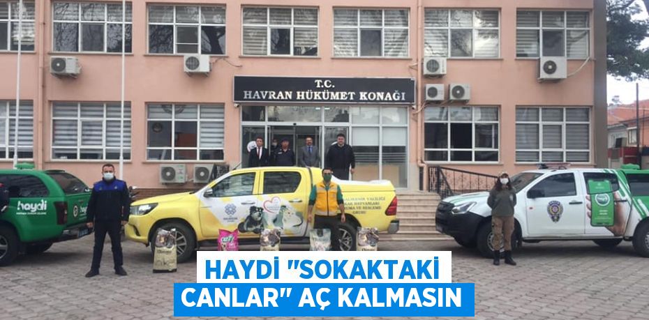 HAYDİ ‘’Sokaktaki Canlar’’ Aç Kalmasın