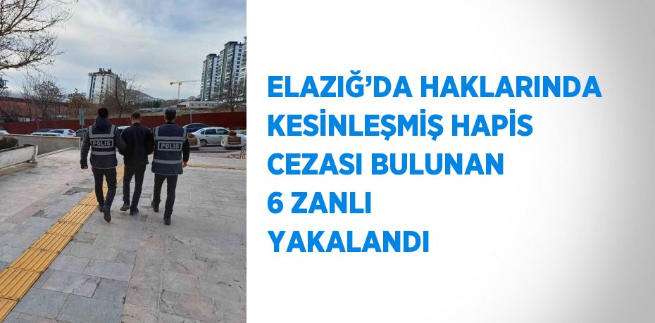 ELAZIĞ’DA HAKLARINDA KESİNLEŞMİŞ HAPİS CEZASI BULUNAN 6 ZANLI YAKALANDI