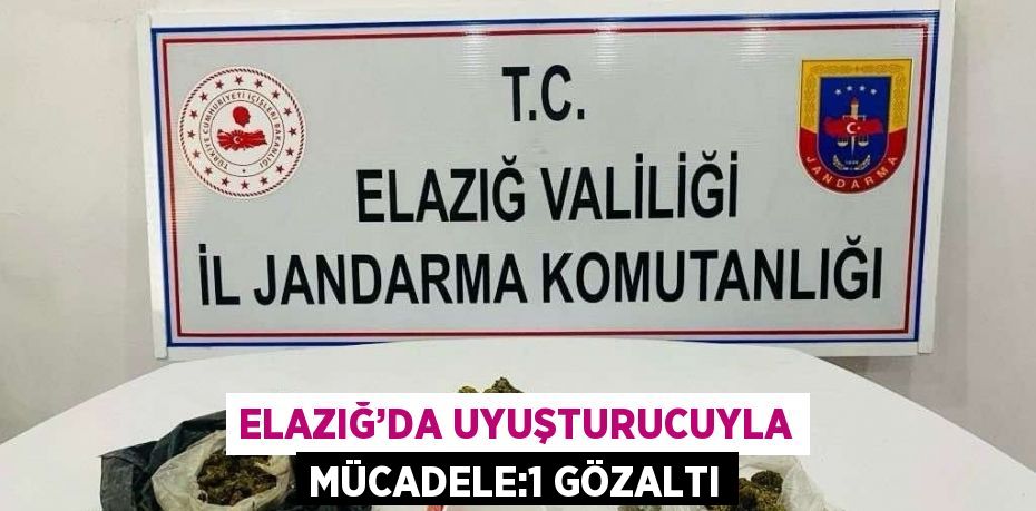 ELAZIĞ’DA UYUŞTURUCUYLA MÜCADELE:1 GÖZALTI