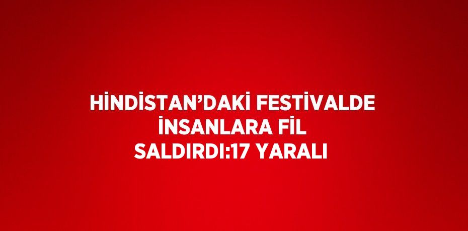 HİNDİSTAN’DAKİ FESTİVALDE İNSANLARA FİL SALDIRDI:17 YARALI