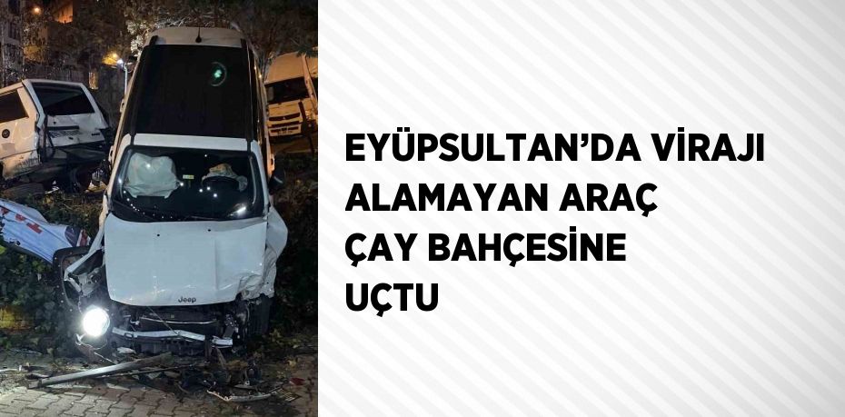 EYÜPSULTAN’DA VİRAJI ALAMAYAN ARAÇ ÇAY BAHÇESİNE UÇTU