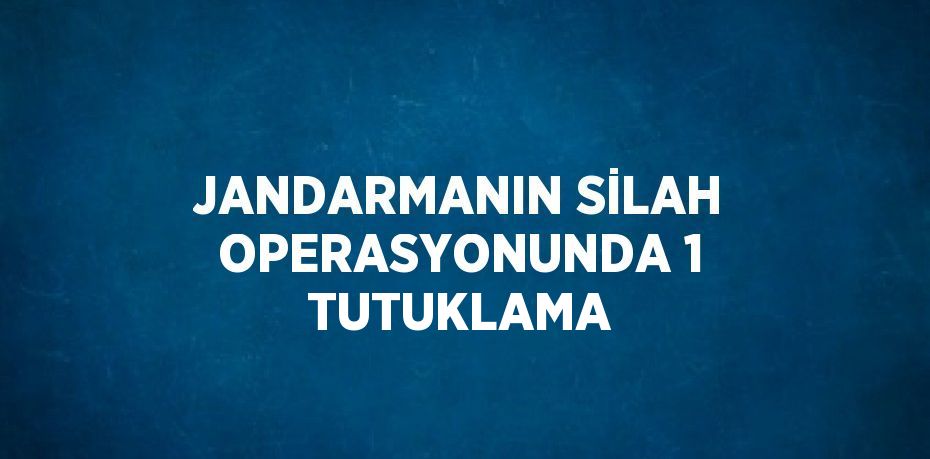 JANDARMANIN SİLAH OPERASYONUNDA 1 TUTUKLAMA