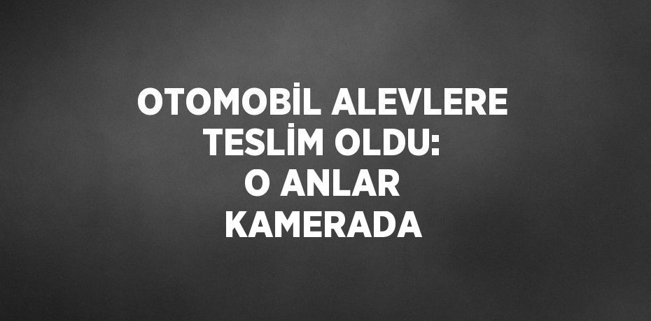 OTOMOBİL ALEVLERE TESLİM OLDU: O ANLAR KAMERADA