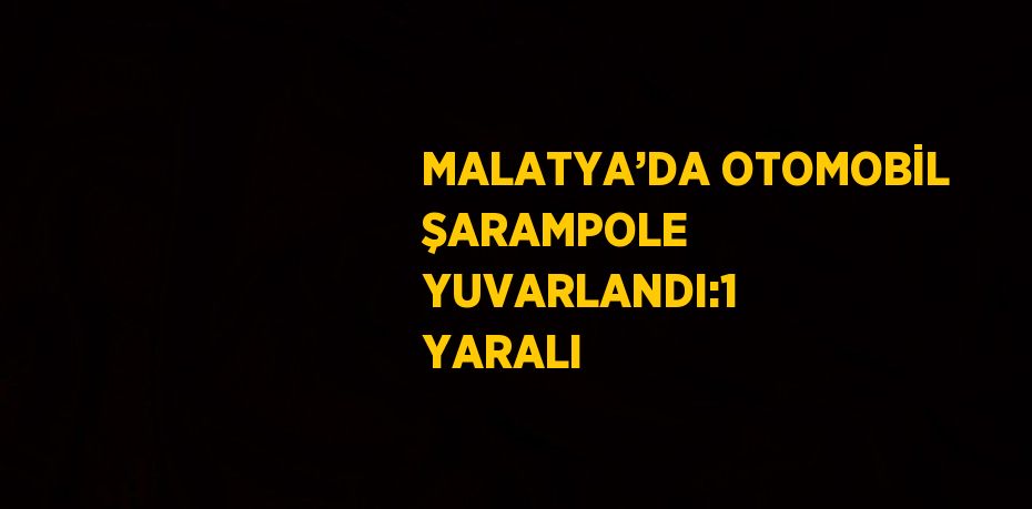 MALATYA’DA OTOMOBİL ŞARAMPOLE YUVARLANDI:1 YARALI