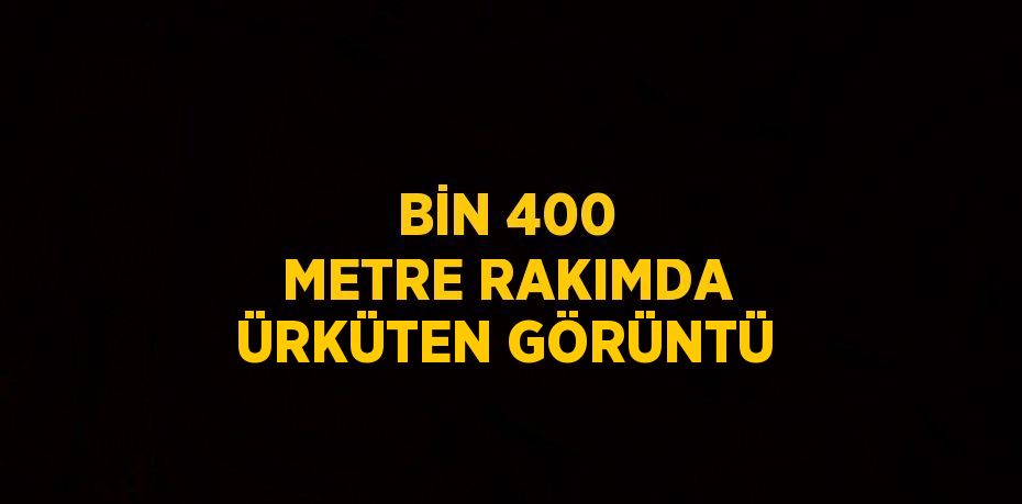 BİN 400 METRE RAKIMDA ÜRKÜTEN GÖRÜNTÜ