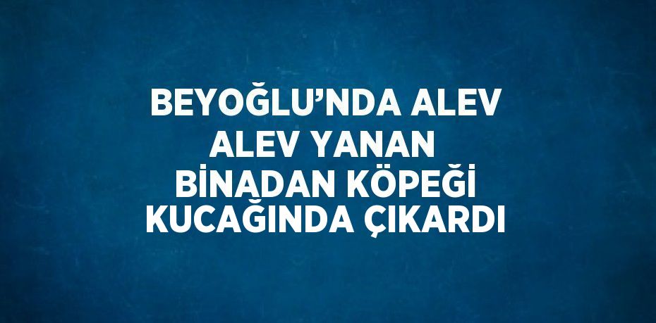 BEYOĞLU’NDA ALEV ALEV YANAN BİNADAN KÖPEĞİ KUCAĞINDA ÇIKARDI