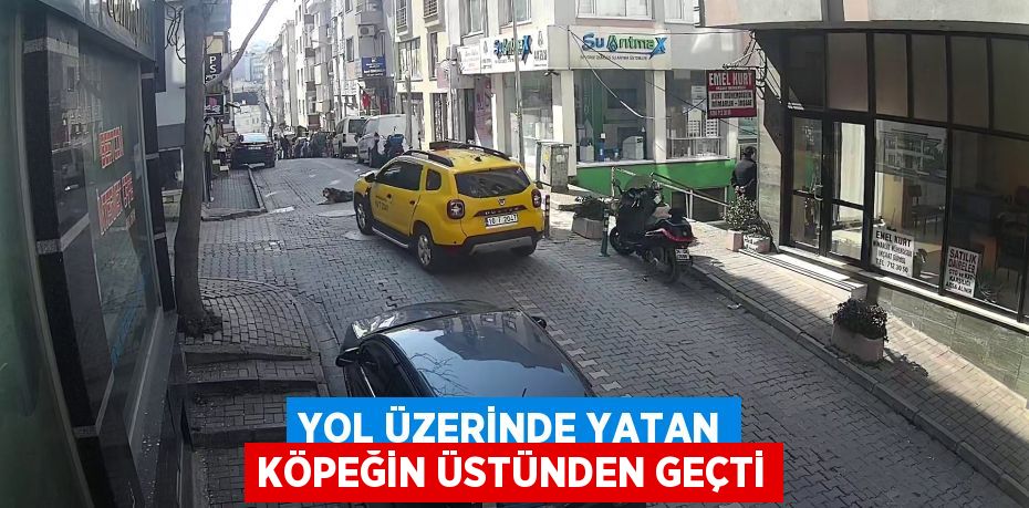 Yol üzerinde yatan köpeğin üstünden geçti