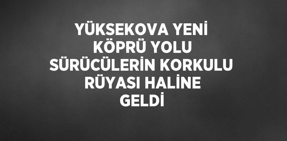 YÜKSEKOVA YENİ KÖPRÜ YOLU SÜRÜCÜLERİN KORKULU RÜYASI HALİNE GELDİ