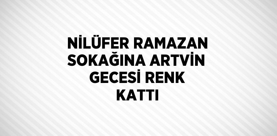 NİLÜFER RAMAZAN SOKAĞINA ARTVİN GECESİ RENK KATTI