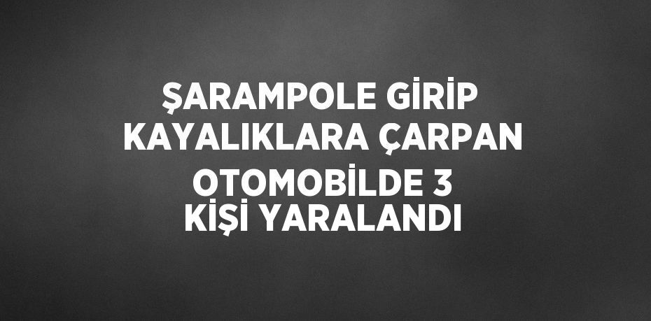 ŞARAMPOLE GİRİP KAYALIKLARA ÇARPAN OTOMOBİLDE 3 KİŞİ YARALANDI