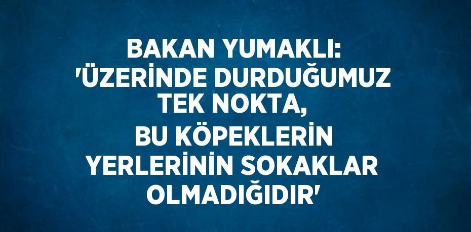 BAKAN YUMAKLI: 'ÜZERİNDE DURDUĞUMUZ TEK NOKTA, BU KÖPEKLERİN YERLERİNİN SOKAKLAR OLMADIĞIDIR'