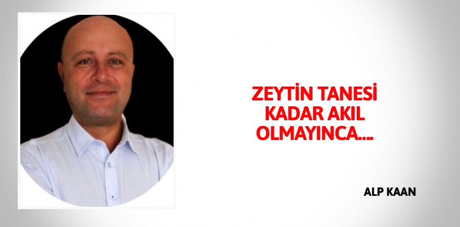 ZEYTİN TANESİ KADAR AKIL OLMAYINCA….
