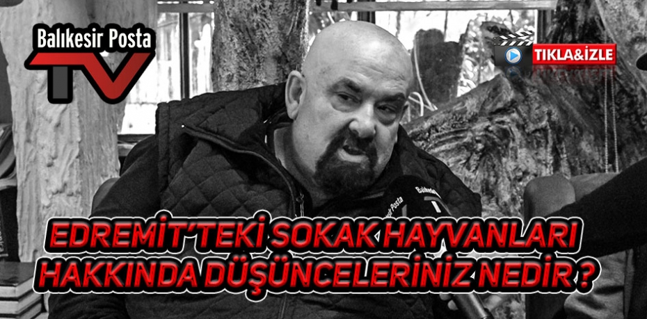 EDREMİT'TEKİ SOKAK HAYVANLARI HAKKINDA DÜŞÜNCELERİNİZ NEDİR ?