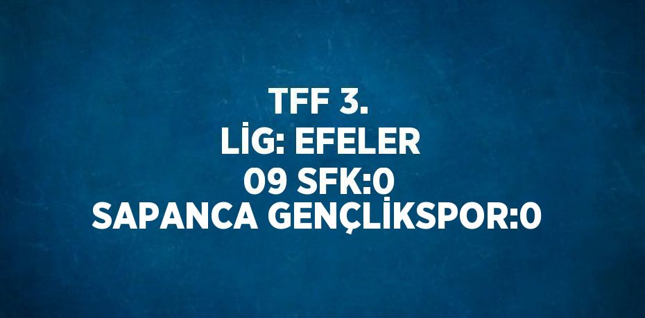 TFF 3. LİG: EFELER 09 SFK:0 SAPANCA GENÇLİKSPOR:0