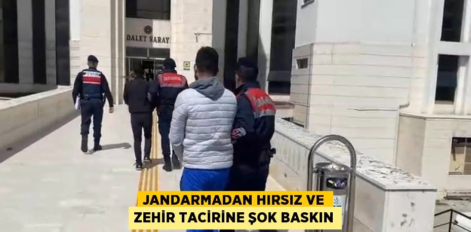 JANDARMADAN HIRSIZ VE ZEHİR TACİRİNE ŞOK BASKIN