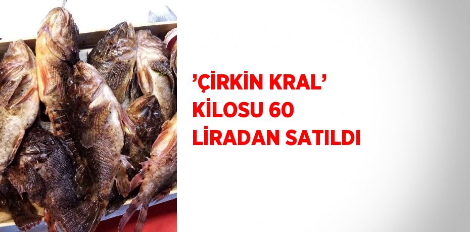 ’ÇİRKİN KRAL’ KİLOSU 60 LİRADAN SATILDI