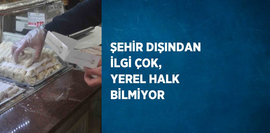 ŞEHİR DIŞINDAN İLGİ ÇOK, YEREL HALK BİLMİYOR