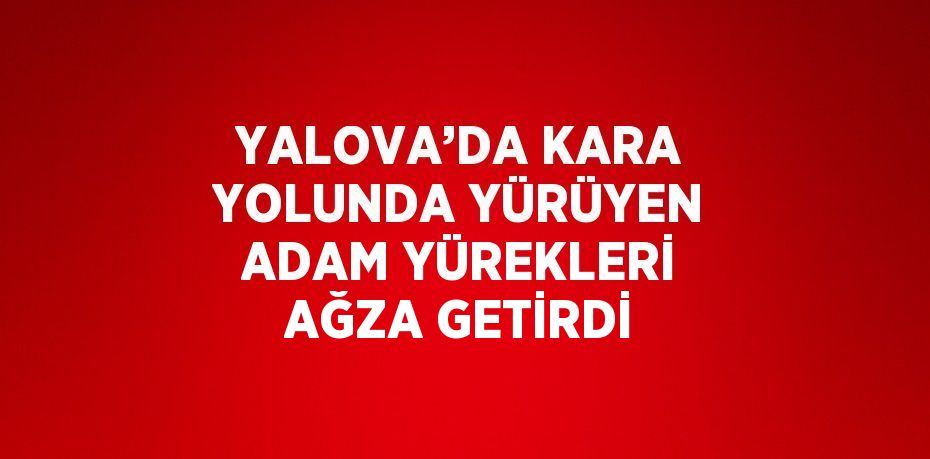 YALOVA’DA KARA YOLUNDA YÜRÜYEN ADAM YÜREKLERİ AĞZA GETİRDİ