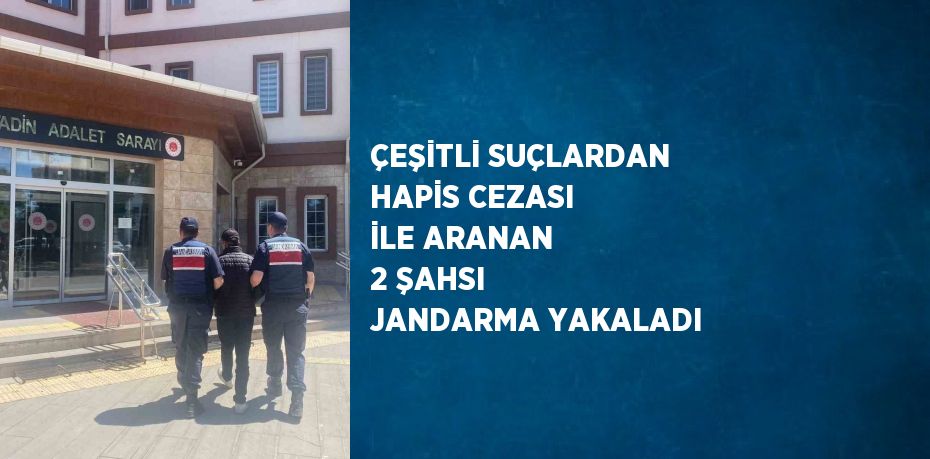 ÇEŞİTLİ SUÇLARDAN HAPİS CEZASI İLE ARANAN 2 ŞAHSI JANDARMA YAKALADI