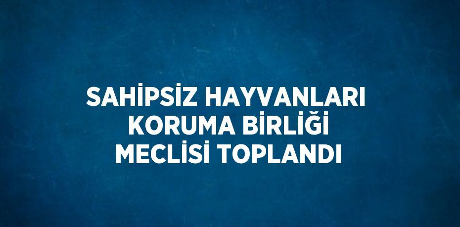 SAHİPSİZ HAYVANLARI KORUMA BİRLİĞİ MECLİSİ TOPLANDI