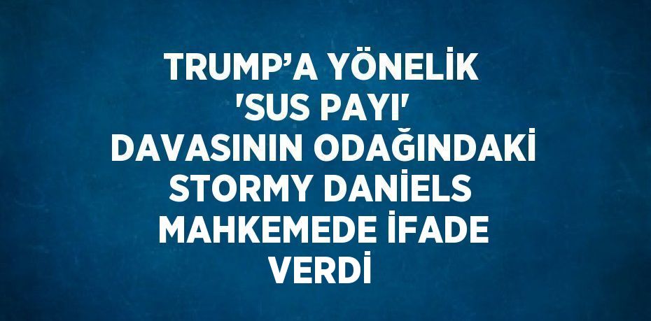 TRUMP’A YÖNELİK 'SUS PAYI' DAVASININ ODAĞINDAKİ STORMY DANİELS MAHKEMEDE İFADE VERDİ